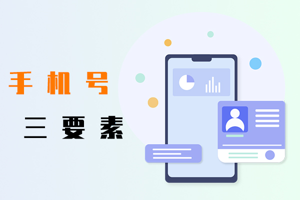 手机号三要素