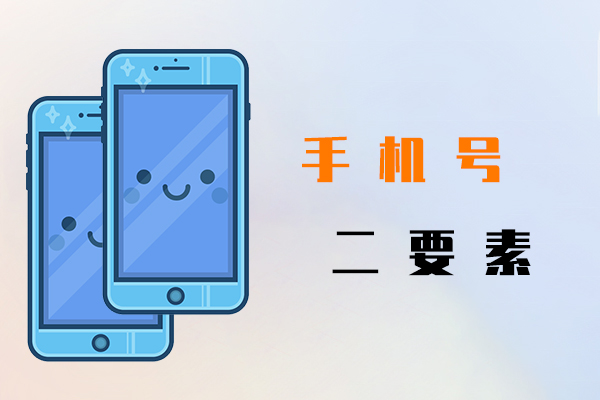 手机号二要素