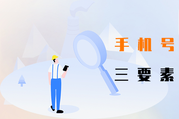 手机号三要素