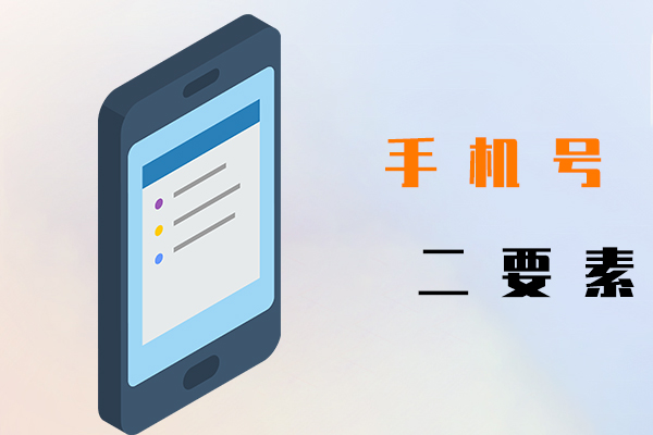 手机号二要素