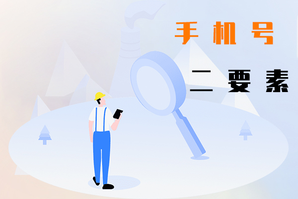 手机号二要素