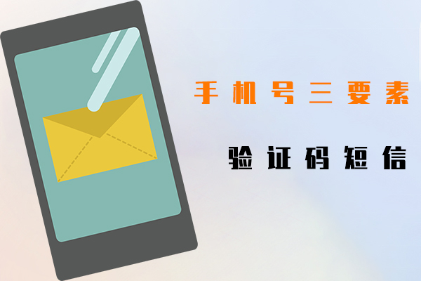 手机号三要素,验证码短信
