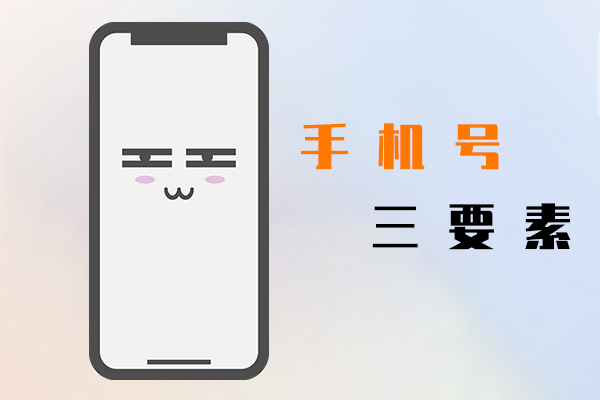 手机号三要素