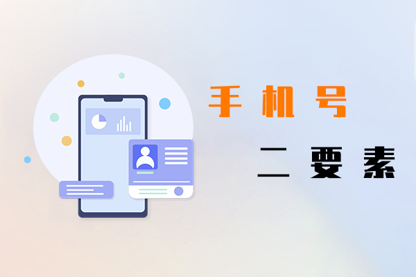 手机号二要素