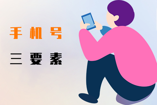 手机号三要素