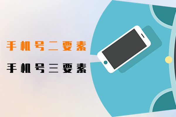 手机号二要素,手机号三要素
