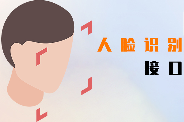 人脸识别接口