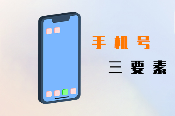 手机号三要素