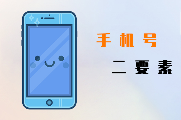 手机号二要素