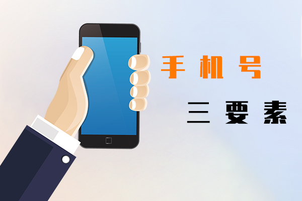 手机号三要素