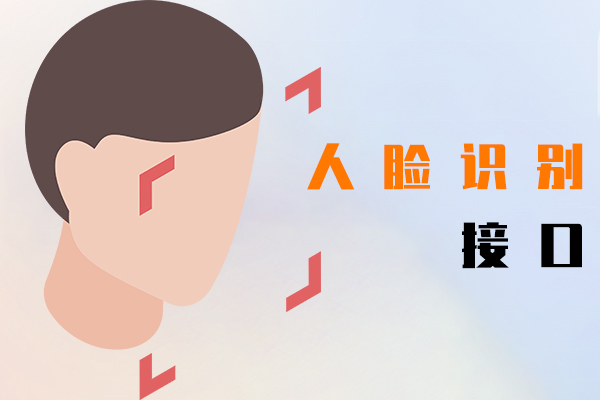 人脸识别接口