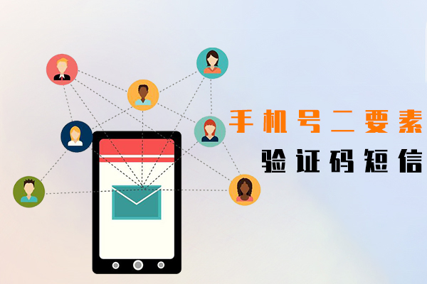 手机号二要素,验证码短信