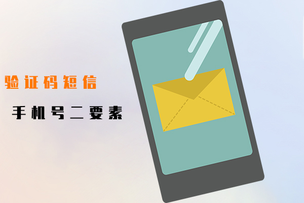 手机号二要素,验证码短信