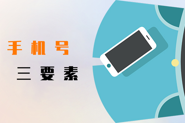 手机号三要素