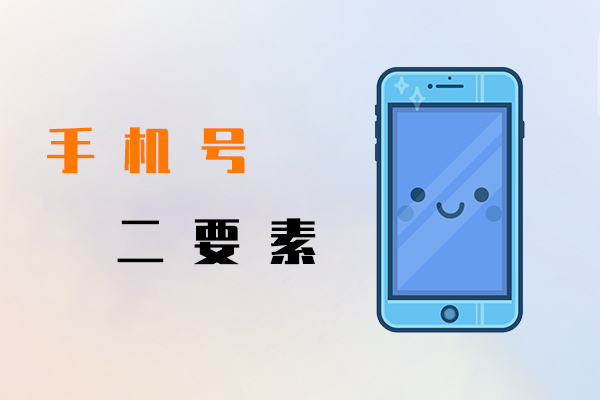 手机号二要素