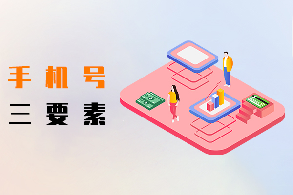 手机号三要素