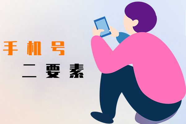 手机号二要素