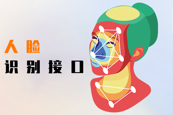 人脸识别接口