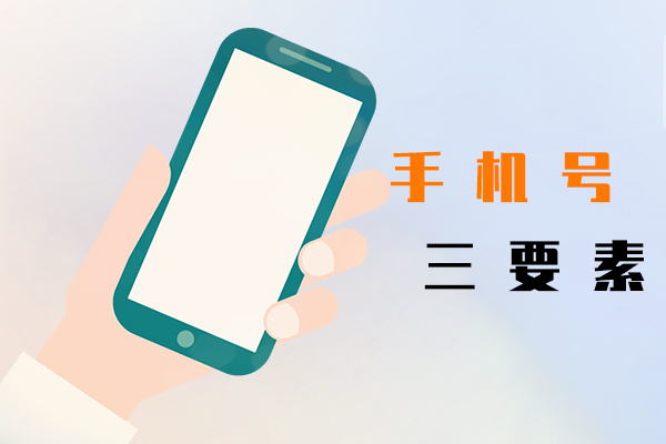 手机号三要素