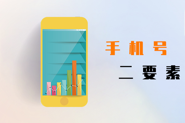 手机号二要素