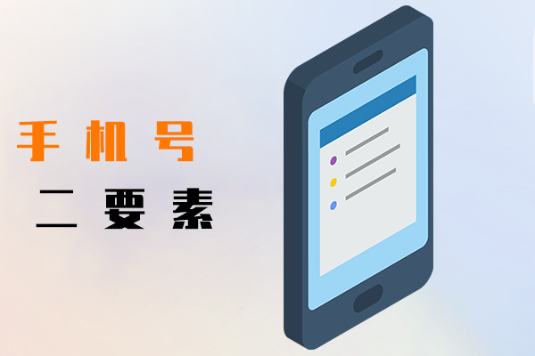 手机号二要素