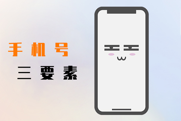 手机号三要素