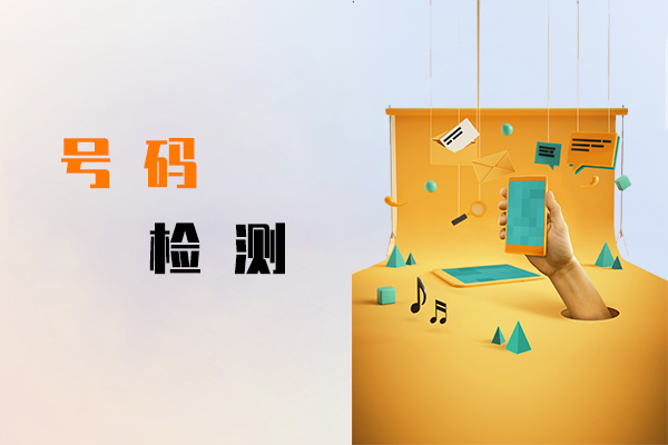 号码检测