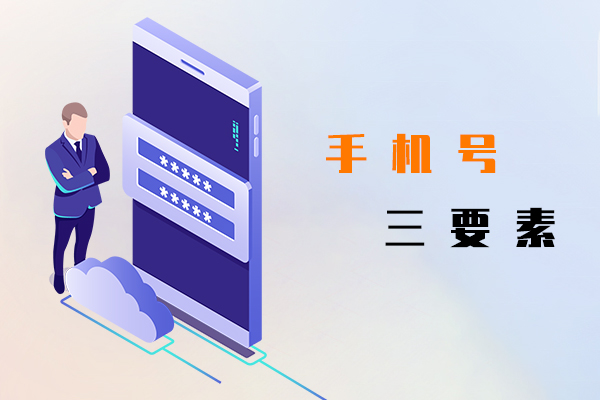 手机号三要素