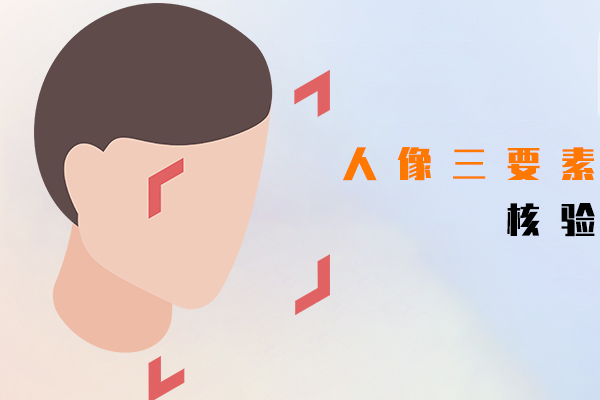 人像三要素核验