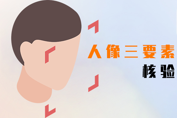 人像三要素核验