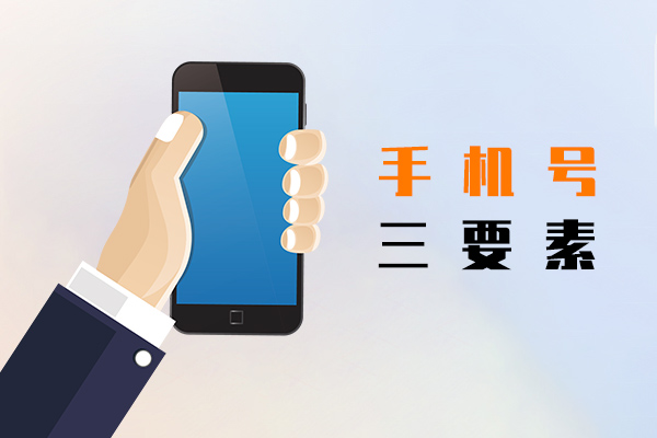 手机号三要素