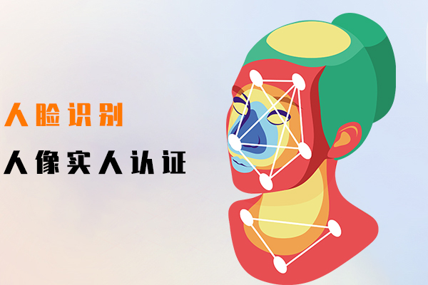 人脸识别,人像实人认证