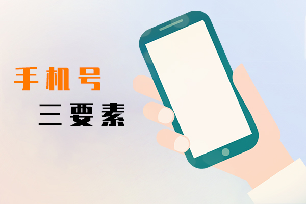 手机号三要素