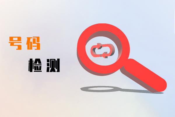 号码检测