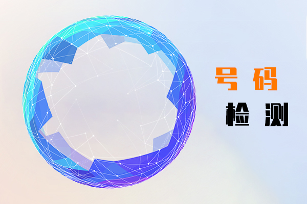 号码检测
