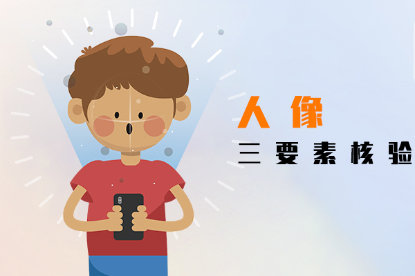 人像三要素核验