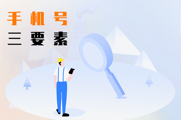 手机号三要素