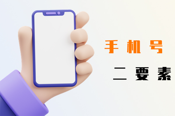 手机号二要素