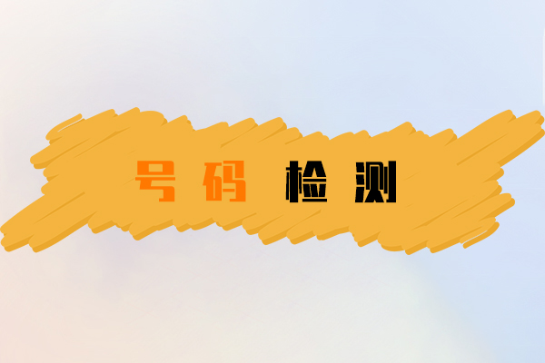 号码检测