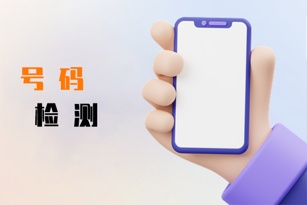 号码检测