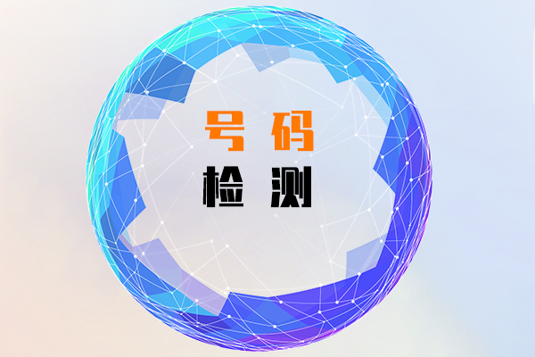 号码检测