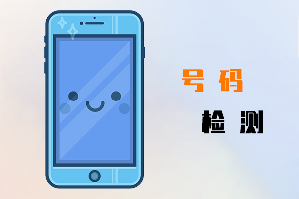号码检测