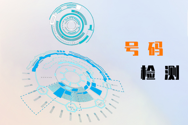 号码检测