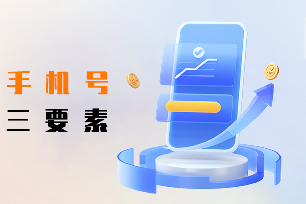 手机号三要素