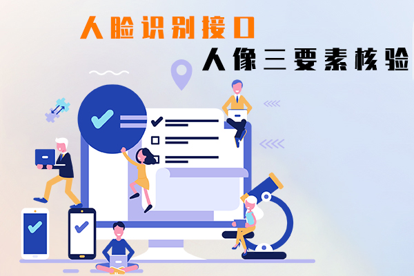 人脸识别接口,人像三要素核验
