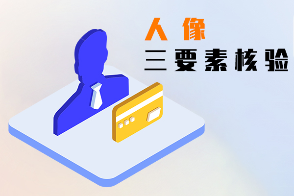 人像三要素核验