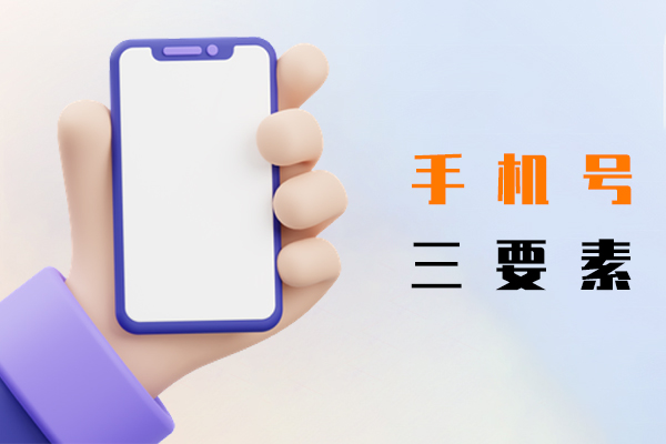 手机号三要素