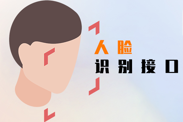 人脸识别接口