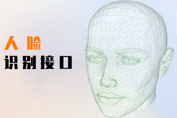 人脸识别接口