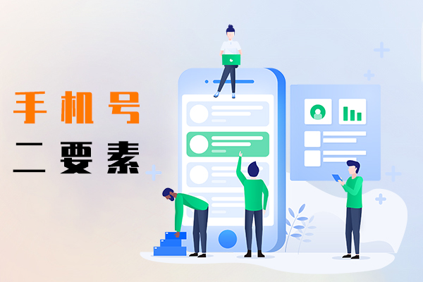 手机号二要素